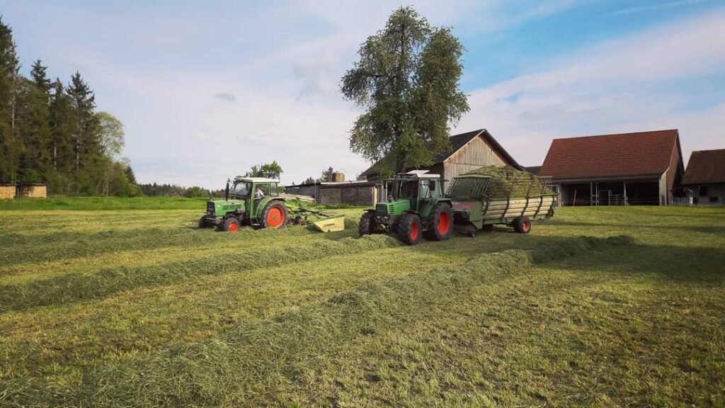 Dudli Ochsenweid Titelbild