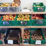 Dudli Ochsenweid - Obst