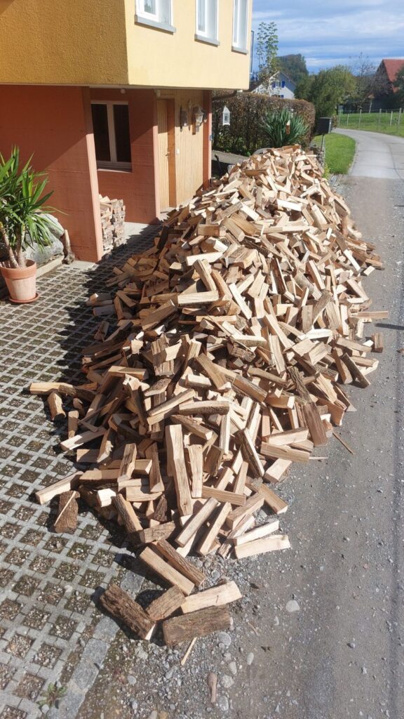 Dudli Ochsenweid - Eindrcke Brennholz