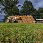 Dudli Ochsenweid - Forstwirtschaft