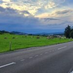 Dudli Ochsenweid - Milchwirtschaft